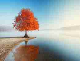 精‌准﻿大﻿数‌据‌分​析​方‌案‍